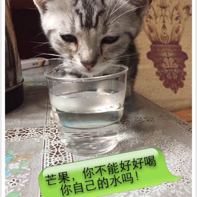 办理墨西哥签证